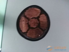 阳谷华东特种电缆 以专业与创新，构筑现代工业的“神经”与“血管”